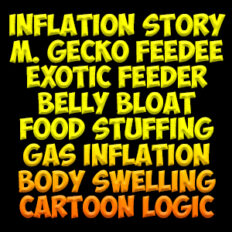 cover_gecko_inflation.jpg